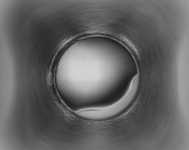 X0000116850876200912291238
