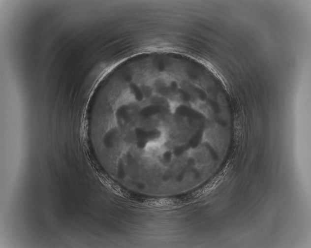 X0000116850879200912291238