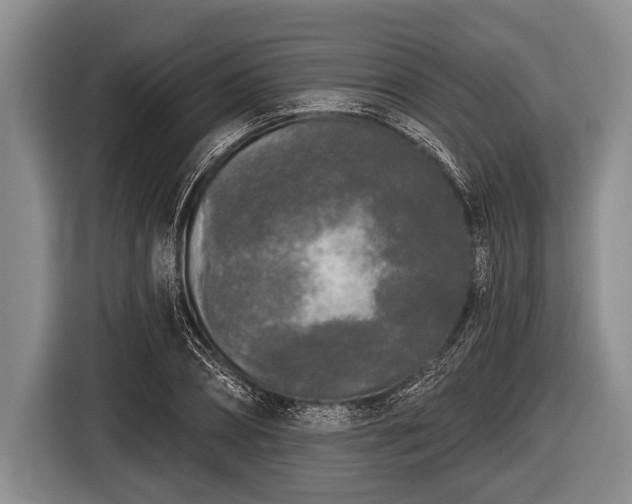 X0000116850882200912291238