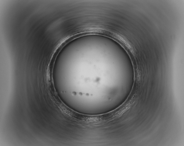 X0000116850883200912291238
