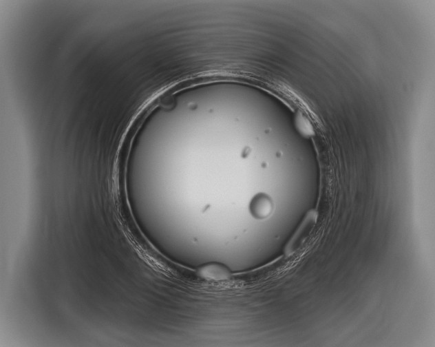 X0000116850884200912291238