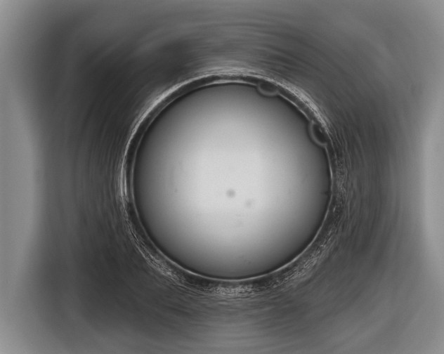 X0000116850887200912291238