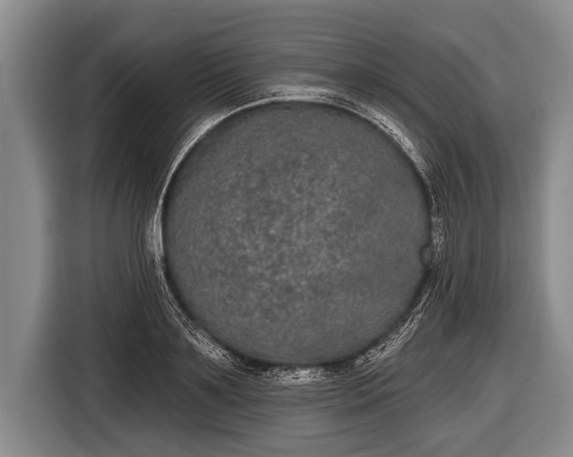 X0000116850891200912291238