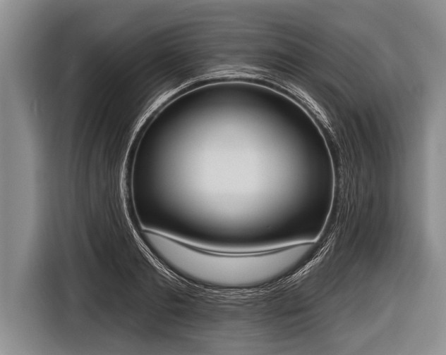 X0000116850893200912291238