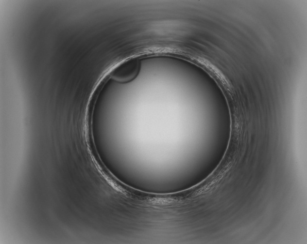 X0000116850894200912291238