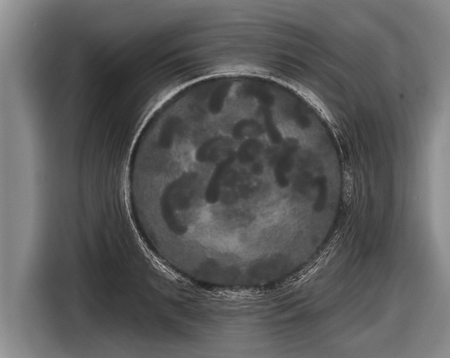 X0000116850895200912291238