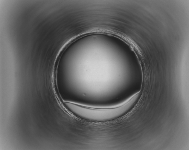 X0000116850896200912291238