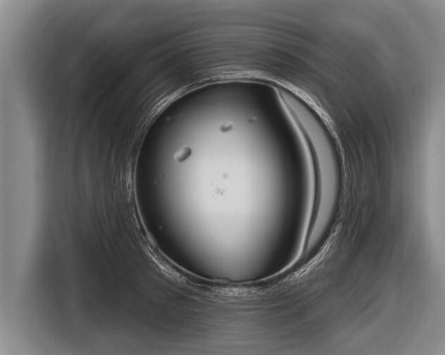 X0000116850897200912291238