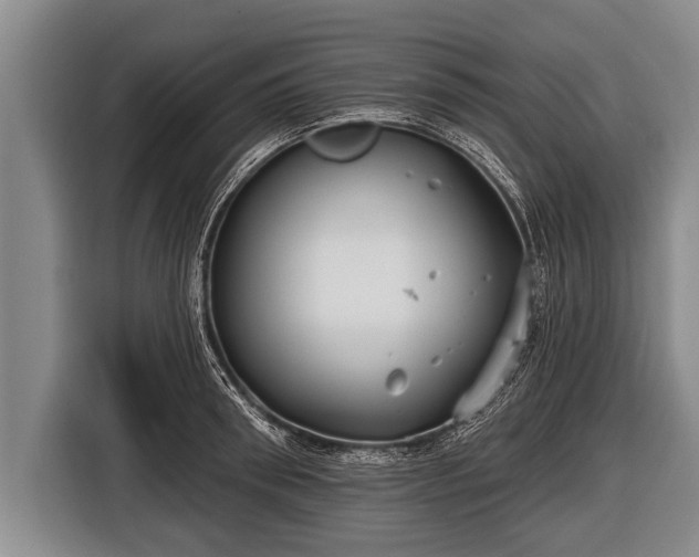 X0000116850898200912291238