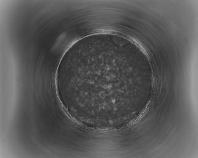 X0000116850899200912291238