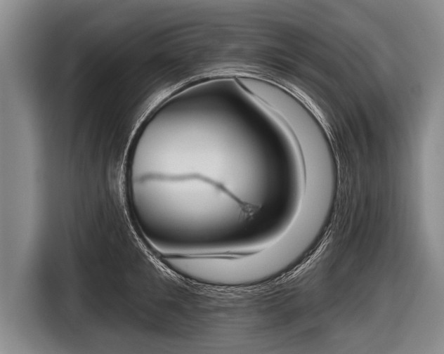 X0000116850901200912291238