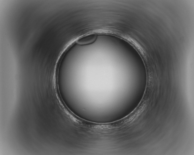 X0000116850902200912291238