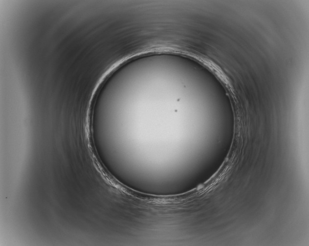 X0000116850904200912291237