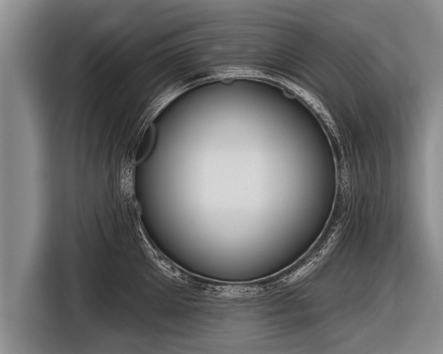 X0000116850905200912291237