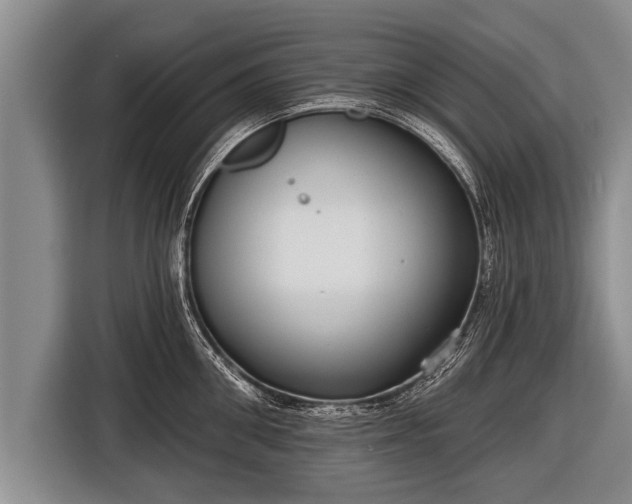 X0000116850906200912291237