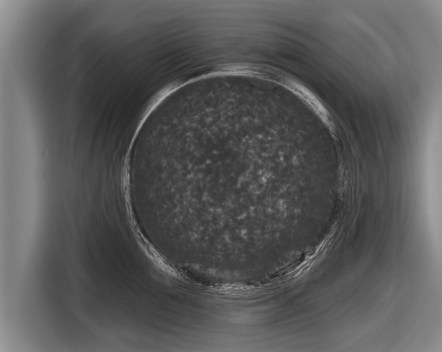 X0000116850907200912291237