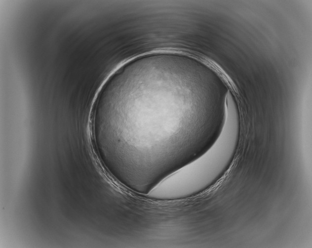 X0000116850908200912291237