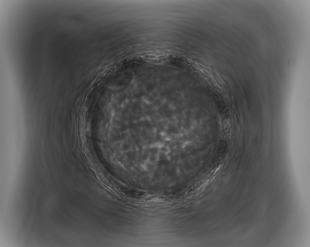 X0000116850913200912291237
