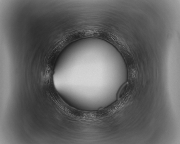 X0000116850914200912291237