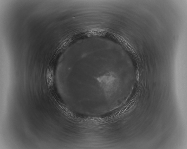 X0000116850915200912291237