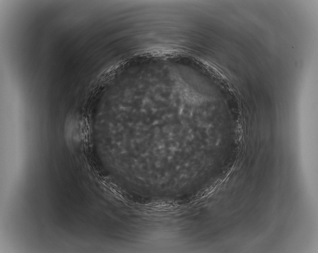 X0000116850917200912291237
