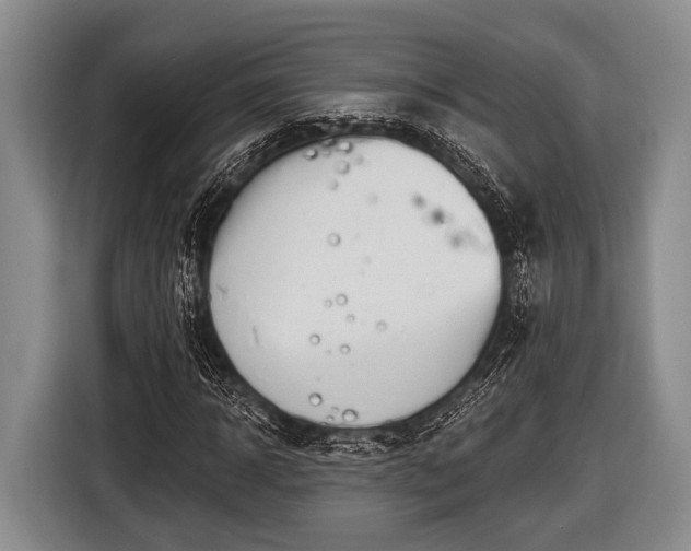 X0000116850918200912291237