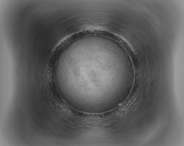 X0000116850919200912291237