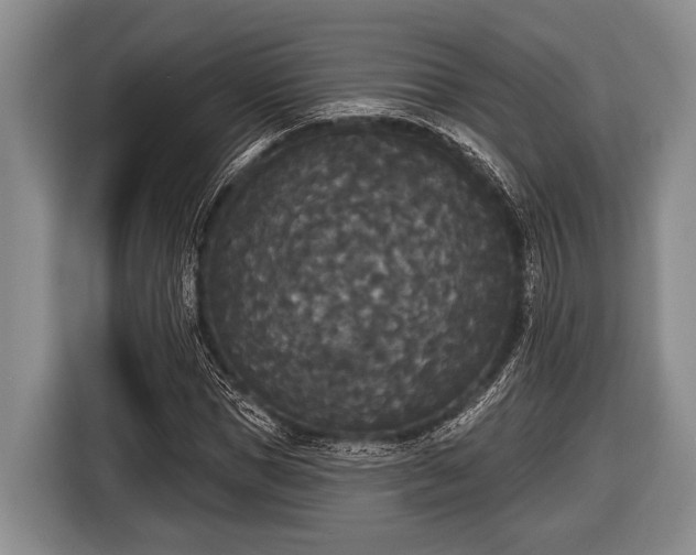 X0000116850921200912291237
