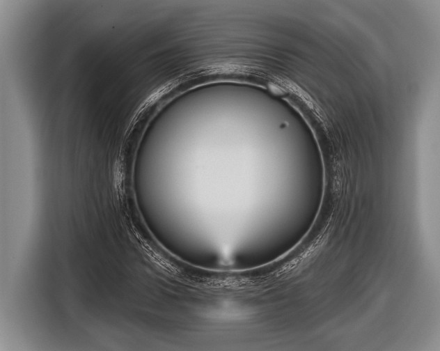 X0000116850922200912291237