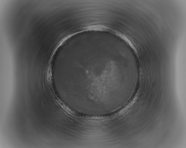 X0000116850923200912291237
