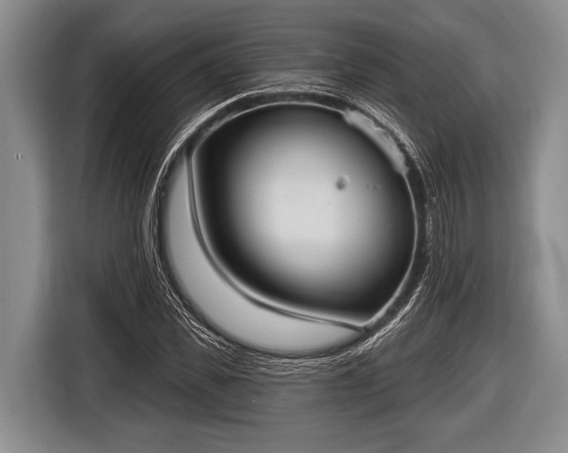 X0000116850925200912291237