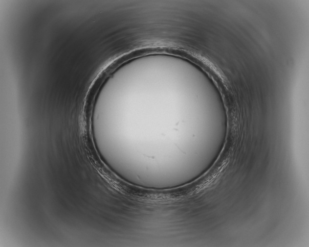 X0000116850927200912291237
