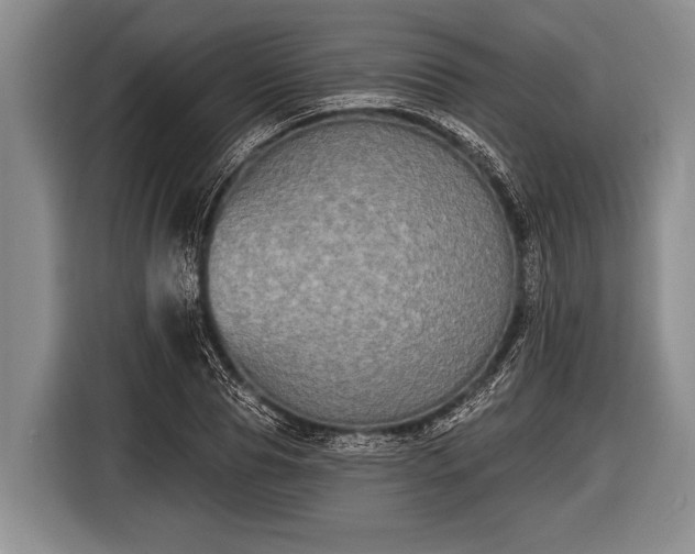 X0000116850929200912291237