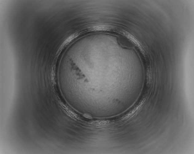 X0000116850930200912291237