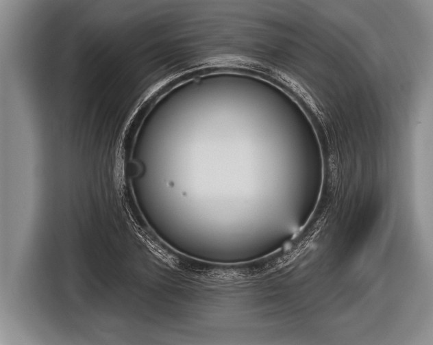 X0000116850931200912291237