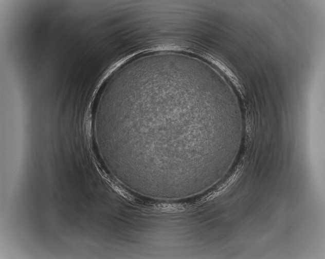 X0000116850933200912291237
