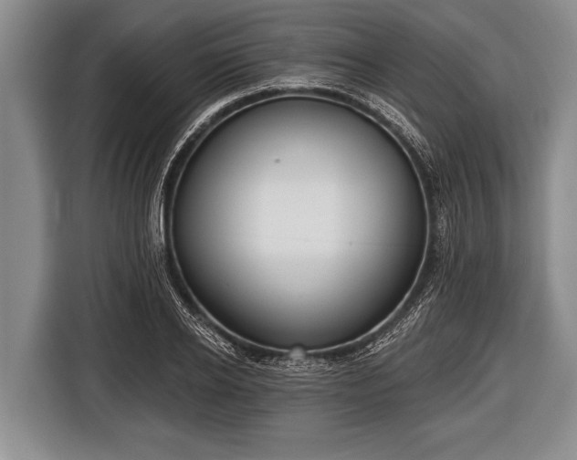 X0000116850934200912291237