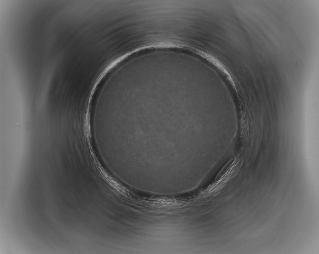 X0000116850935200912291237