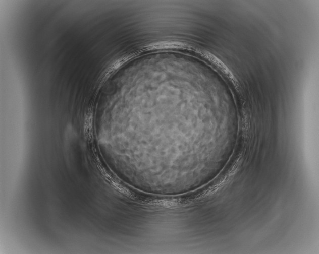 X0000116850937200912291237