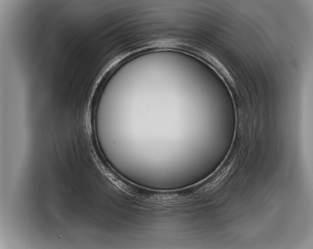 X0000116850939200912291237