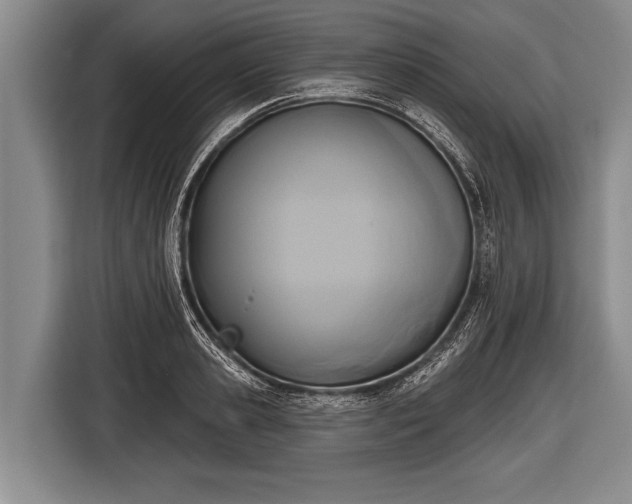X0000116850941200912291237