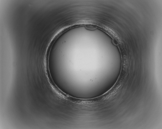 X0000116850942200912291237