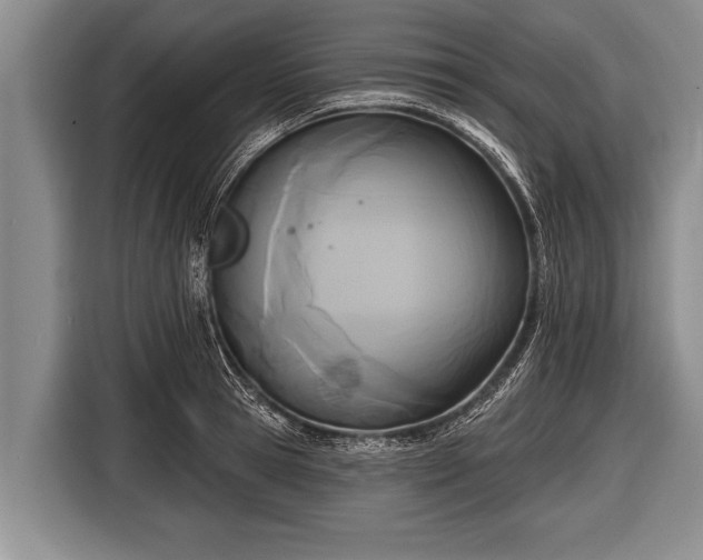 X0000116850945200912291237