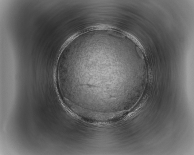 X0000116850946200912291237