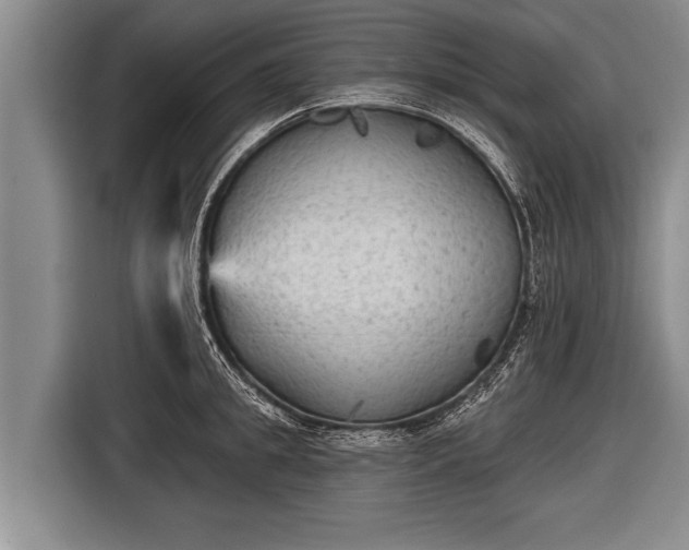 X0000116850949200912291237