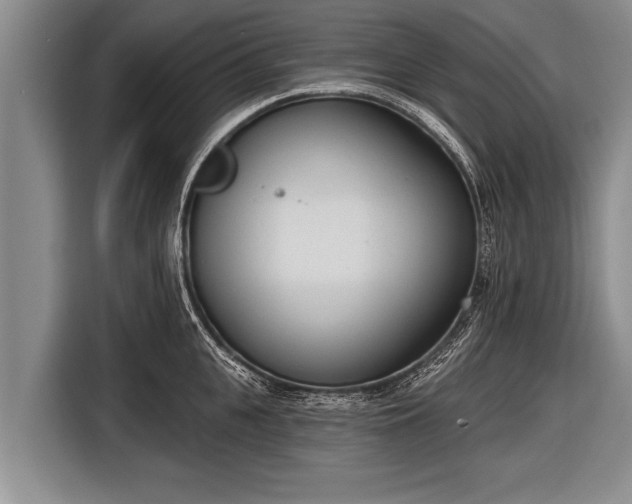 X0000116850951200912291237