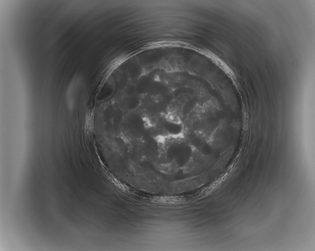 X0000116850953200912291237