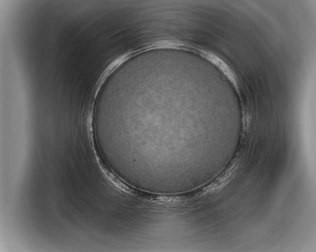 X0000116850954200912291237