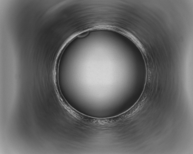 X0000116850955200912291237