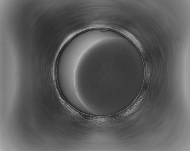 X0000116850958200912291237